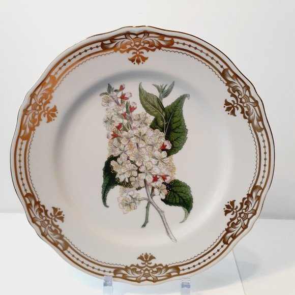 Andrea by Sadek, Golden Botanical by Thomas Curtis 1808 London Plate 10 1/2" - Picture 7 of 9